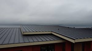 Best Green or Eco-Friendly Roofing Solutions  in College Station, TX